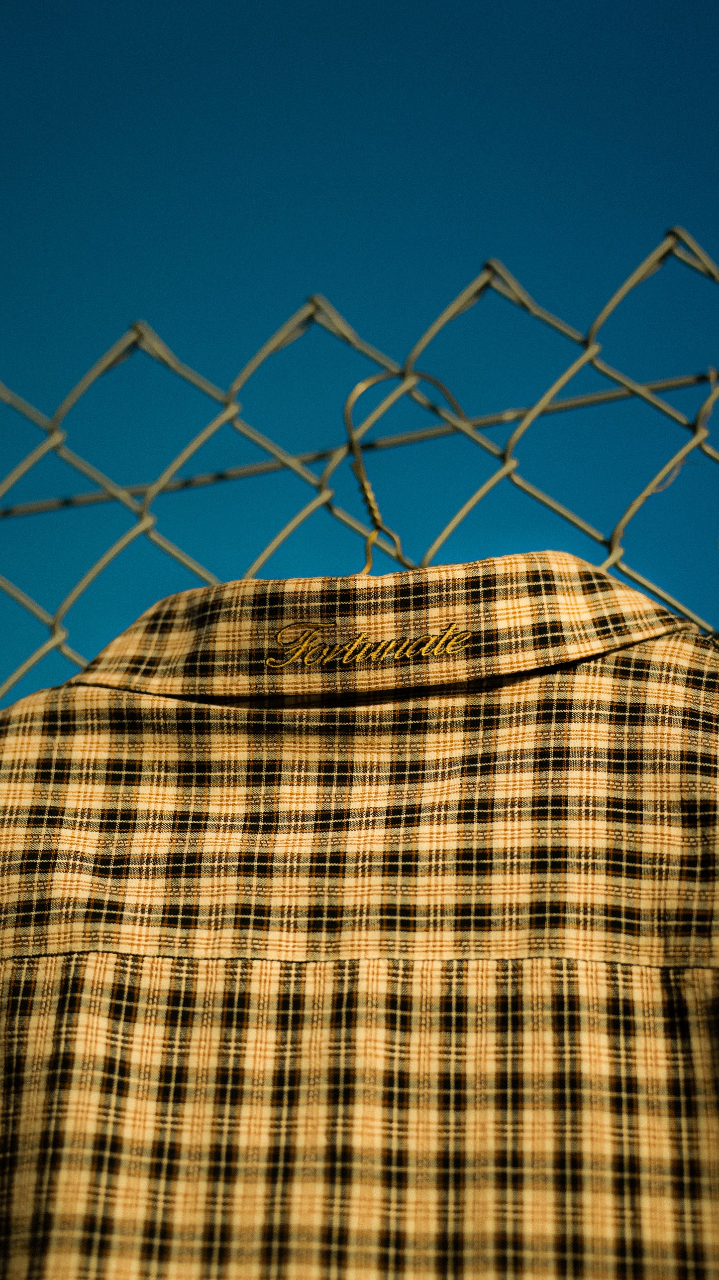 Brown Plaid Cropped Button Up