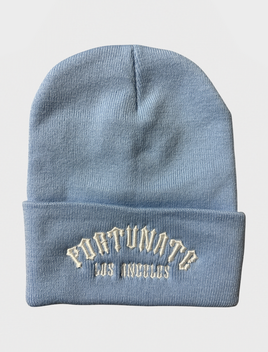 Sky Blue Establishment Beanie